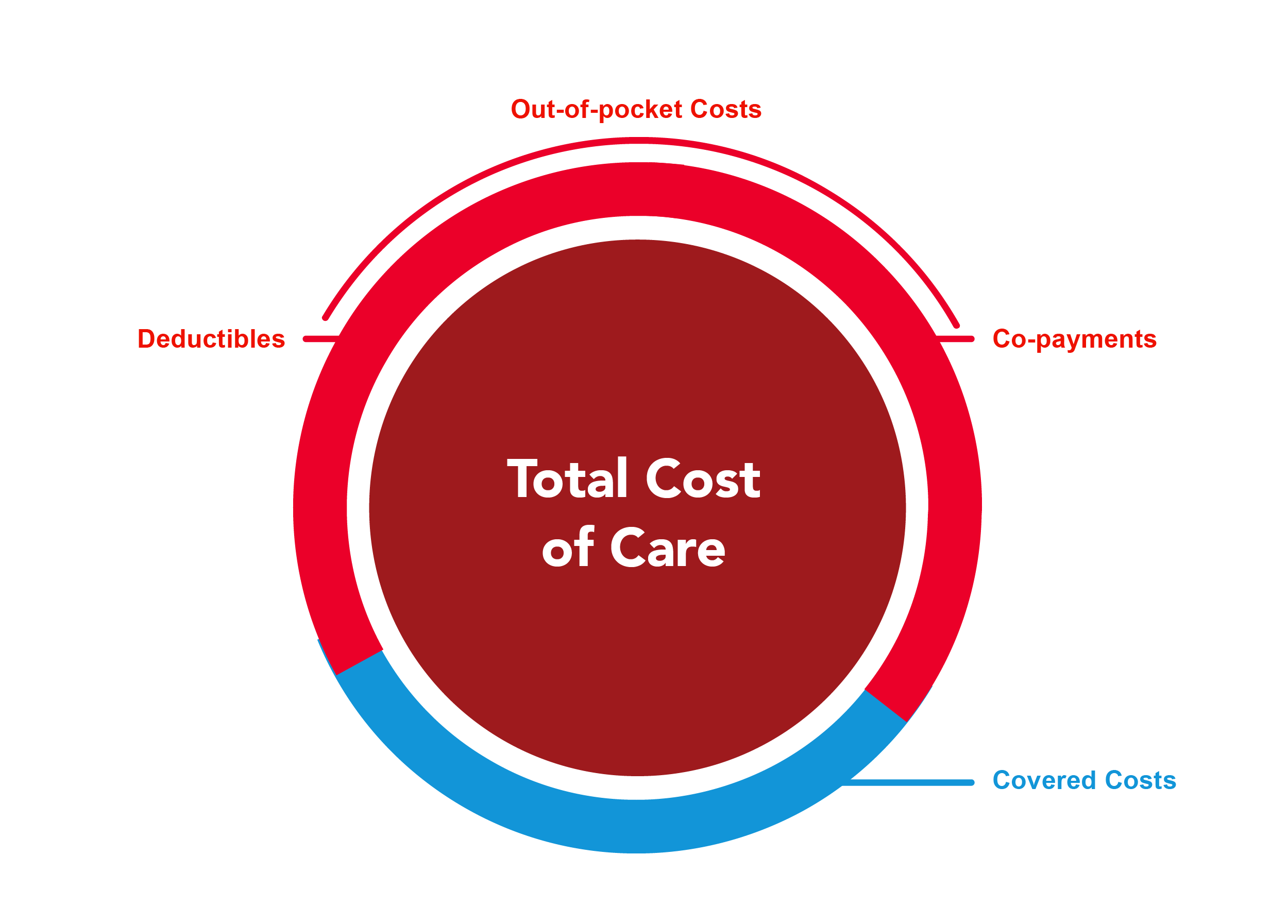 Circular chart displaying illustrative breakdown of Total Cost of Care